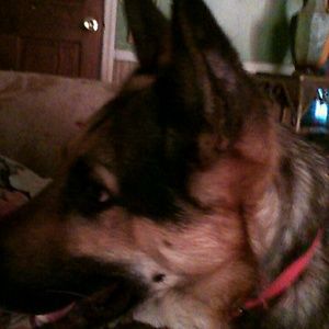 Meet your Posher, Anne